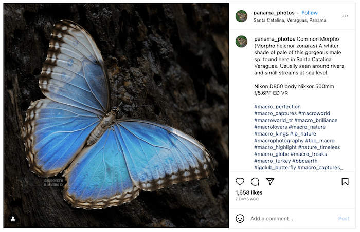 Screenshot of Kenneth R Myers's Instagram with a butterfly