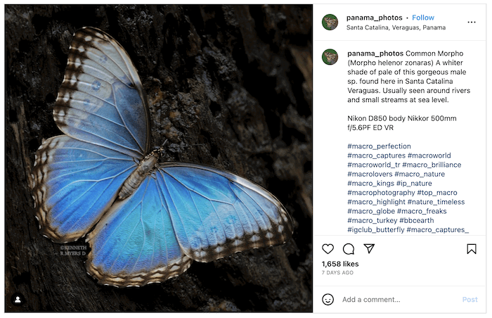 Screenshot of Kenneth R Myers's Instagram with a butterfly