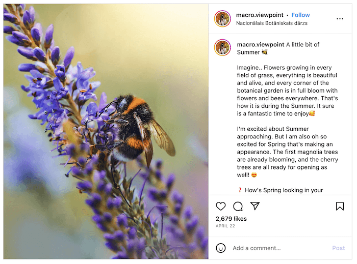 Screenshot of Kristine's Instagram with a bee and flowers