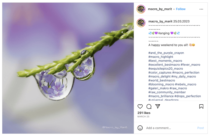 Screenshot of Marit Hovden's Instagram with a waterdrop and reflecting on a branch