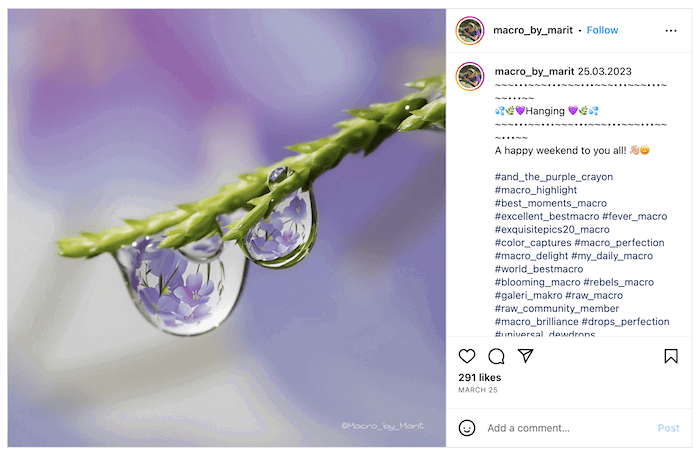 Screenshot of Marit Hovden's Instagram with a waterdrop and reflecting on a branch