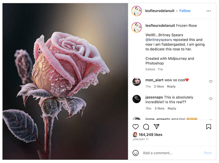 Screenshot of Monica's Instagram with a close-up rose mage