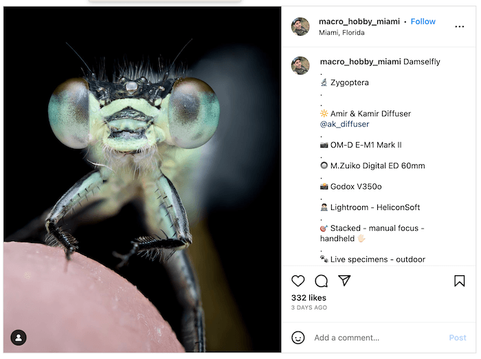 Screenshot of Oscar Rojas's Instagram with an insect macro shot