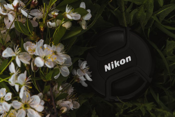 Overhead closeup of a Nikon lens cap among flowers