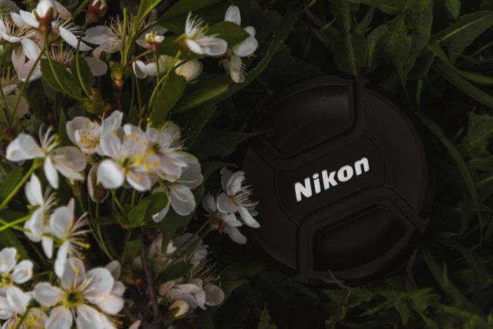 Nikon vs Canon   Which is Best in 2023  - 99