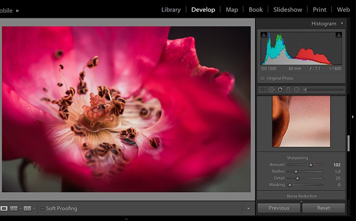 Sharpening tool of Adobe Lightroom photo editing software