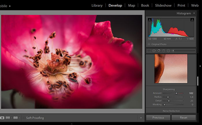 How to Edit Photos  12 Important Steps for Beginners  - 32