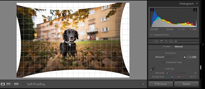 A screenshot of editing photos with Perspective correction tool of Adobe Lightroom