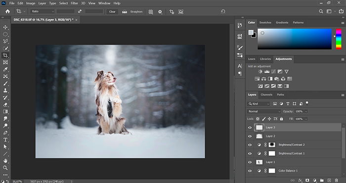 Image of Adobe Photoshop interface