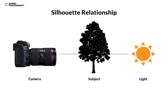 A diagram explaining how silhouette photography works
