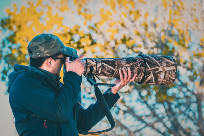 Behind the Lens: A Wildlife Photographer’s Journey to Incredible Images ...