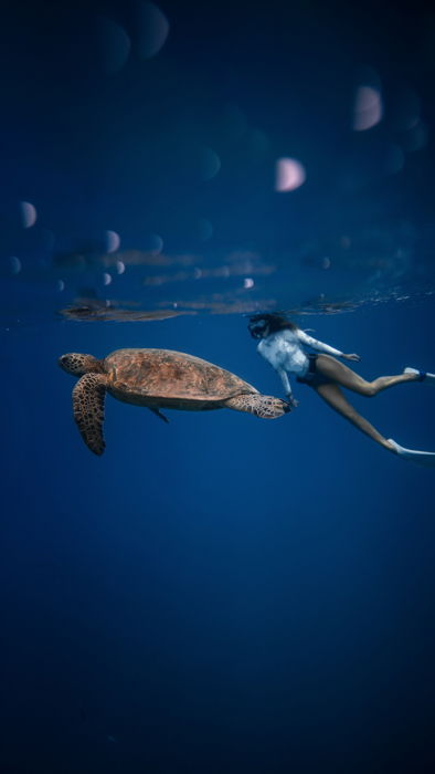 Uma imagem de uma mulher mergulhando ao lado de uma tartaruga marinha.