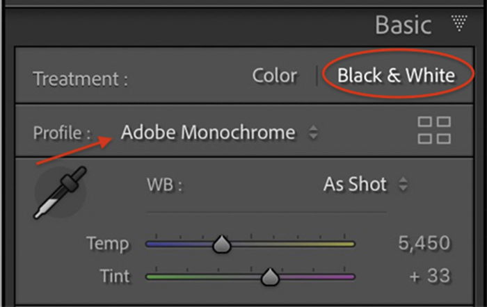 How to Make an Image Black and White in Photoshop   Lightroom - 10