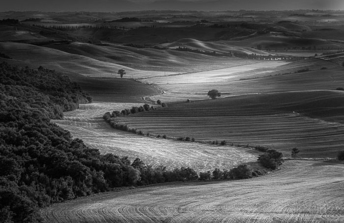 Black and white photo Tuscan field