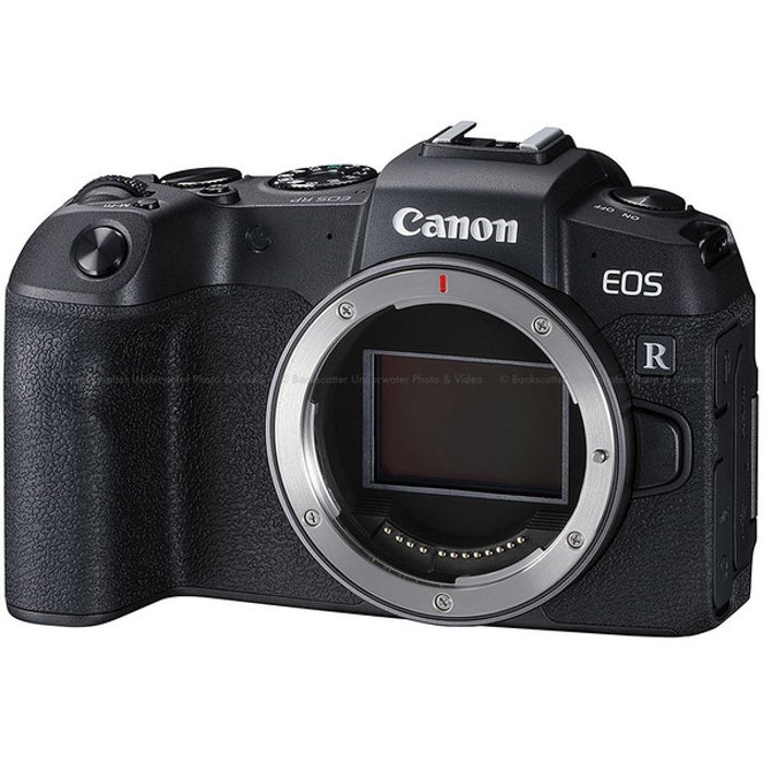 Image of Canon EOS RP