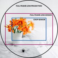 medium format vs frame crop factor