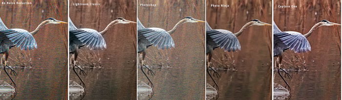 heron compare program noise reduction