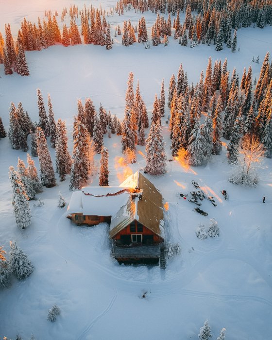 aerial photograph of pines, snow and a cottage in sunrays