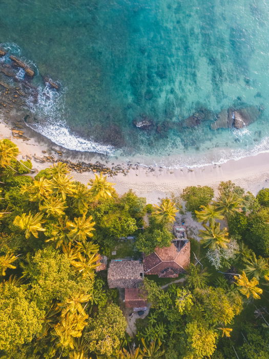 aerial photograph of a beach, shacks, and palm trees