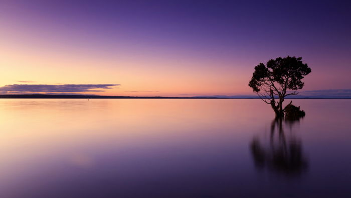 a photo of the horizon to show how to use leading lines in photography