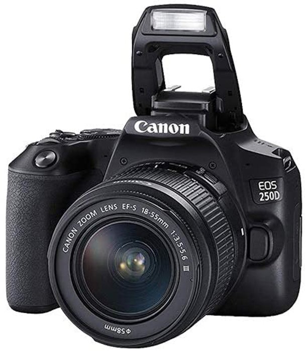 an image of a Canon EOS 250D