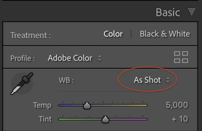 Lightroom Classic screenshot showing temperature adjustments.