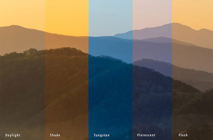 What is Color Temperature   And How to Use it in Photography  - 76