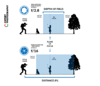 What Is Selective Focus? (And How To Use It For Great Photos)