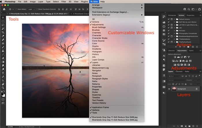 adobe photoshop cc vs elements