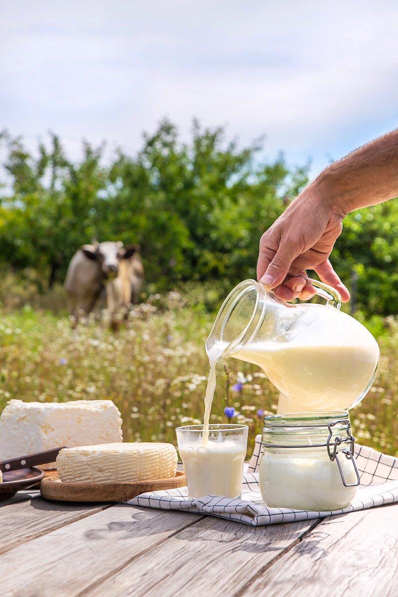 Milk being poured in a glass with other dairy products on a wood table outside with a cow in the background