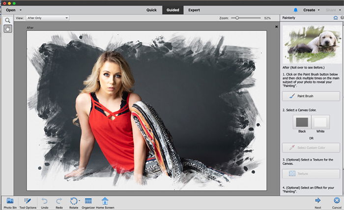 Photoshop Elements vs Lightroom   Which is Best in 2023  - 10