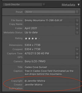 online photo metadata viewer online photo metadata viewer
