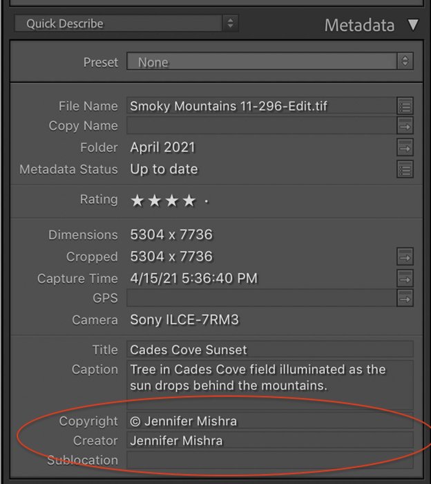screenshot of Lightroom Metadata panel with copyright and creator information included