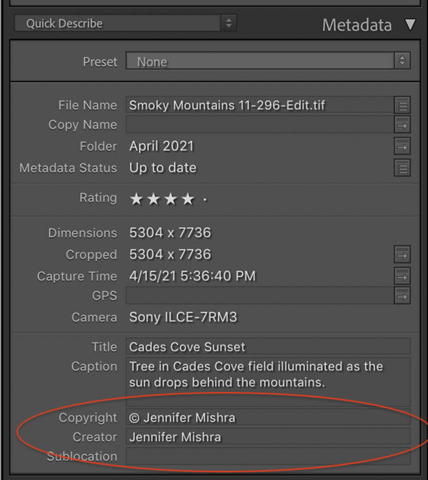 What Is Photo Metadata And Why Is It So Important | expertphotography