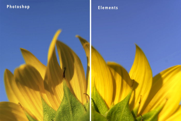 adobe photoshop elements vs adobe photoshop