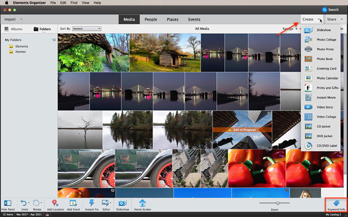 Screenshot of Photoshop Elements Organizer workspace