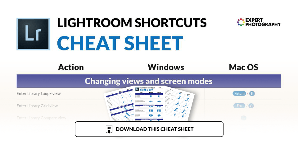Illustration for Lightroom shortcuts cheat sheet