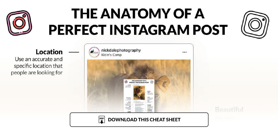 Illustration for perfect instagram post cheat sheet