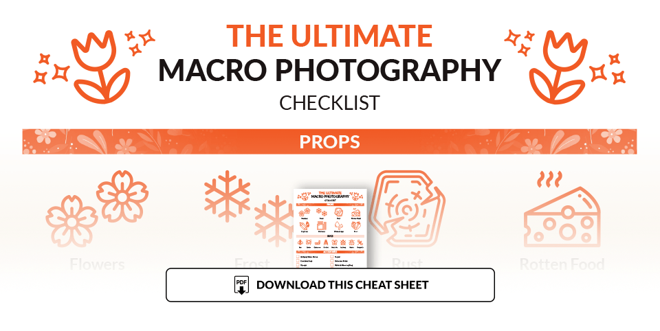 Illustration for macro photography cheat sheet