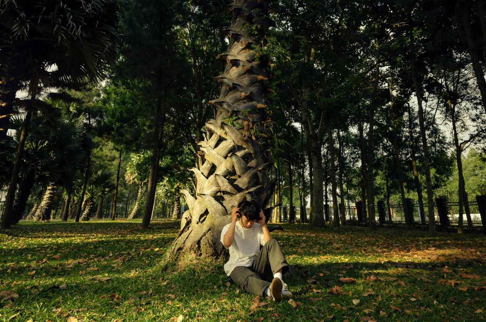 A person sitting against a tree in park with textured bark and foliage for visual weight