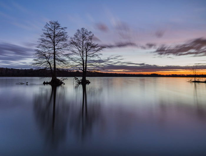 Two trees in a lake at sunset to show best landscape photography settings to blur clouds