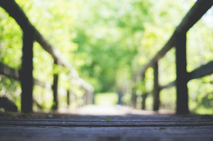 using a shallow depth of field to create a blurry bridge image