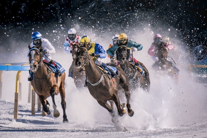 image of horse racing