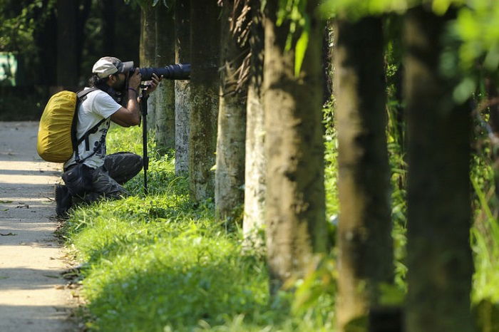 photographer using a telephoto lens outdoors