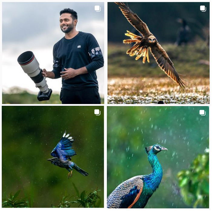 25 Most Influential Bird Photographers to Follow in 2023 - 66