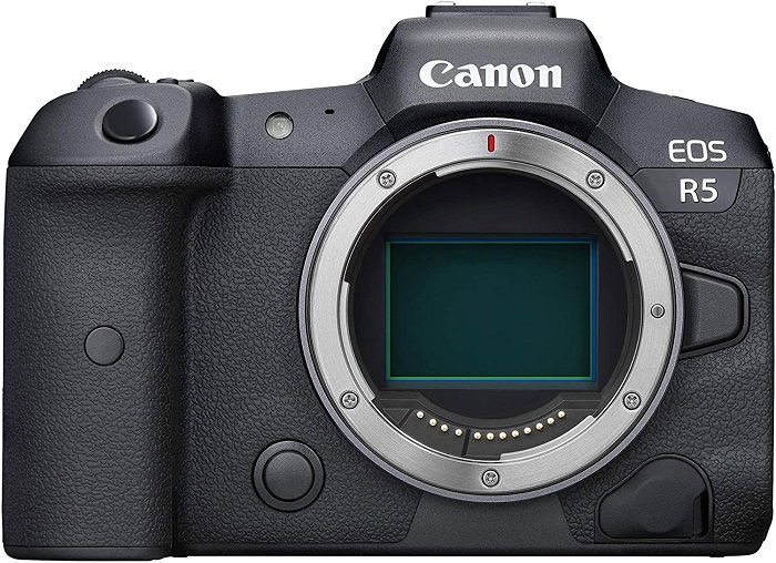 best mirrorless camera for travel 2021 professional Canon EOS R5