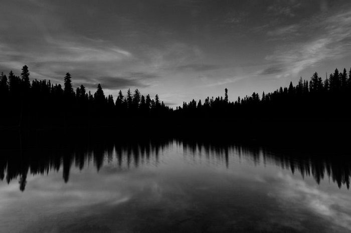 black and white photography of a river lined by trees with horizontal and vertical symmetry