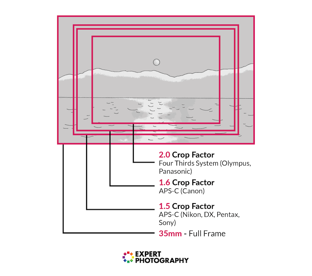 Full Frame vs Crop Sensor (A Guide to What's Best in 2024)