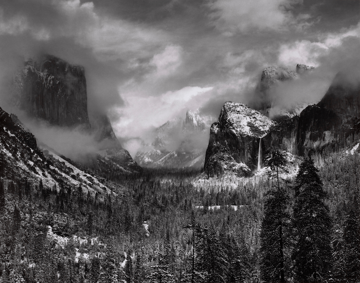 鼓舞人心的风景摄影:山脉前的常青树的黑白照片