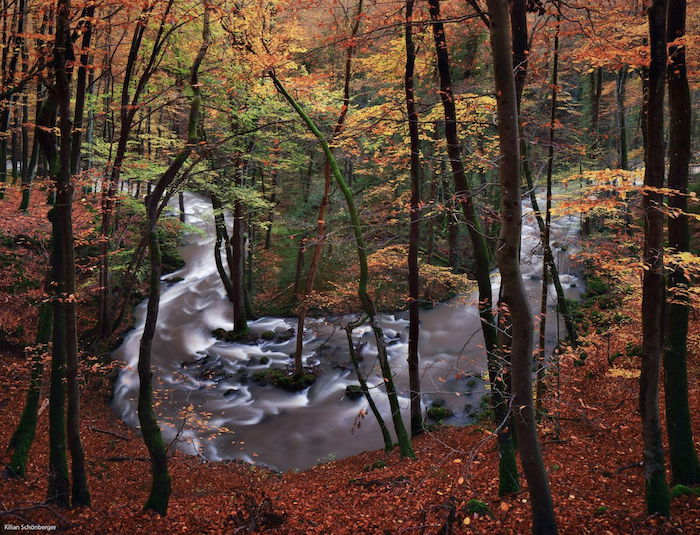 a slow exposure shot of a river flowing through a forest